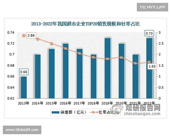 如何根据个人优势与市场需求选择最适合的职业路径与发展战术