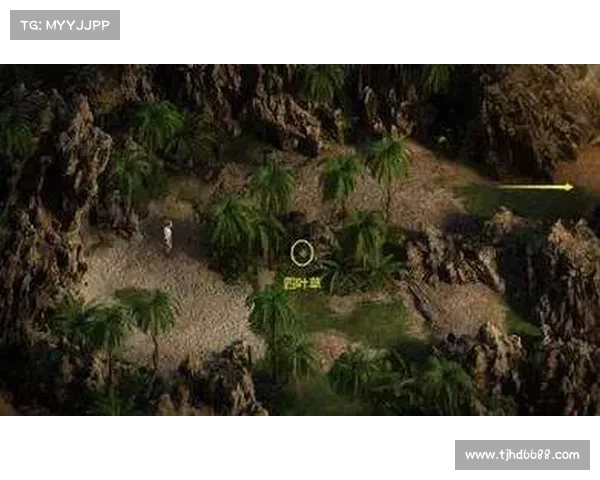 揭秘朱雀天境入境全流程详解教你如何成功踏入神秘天域